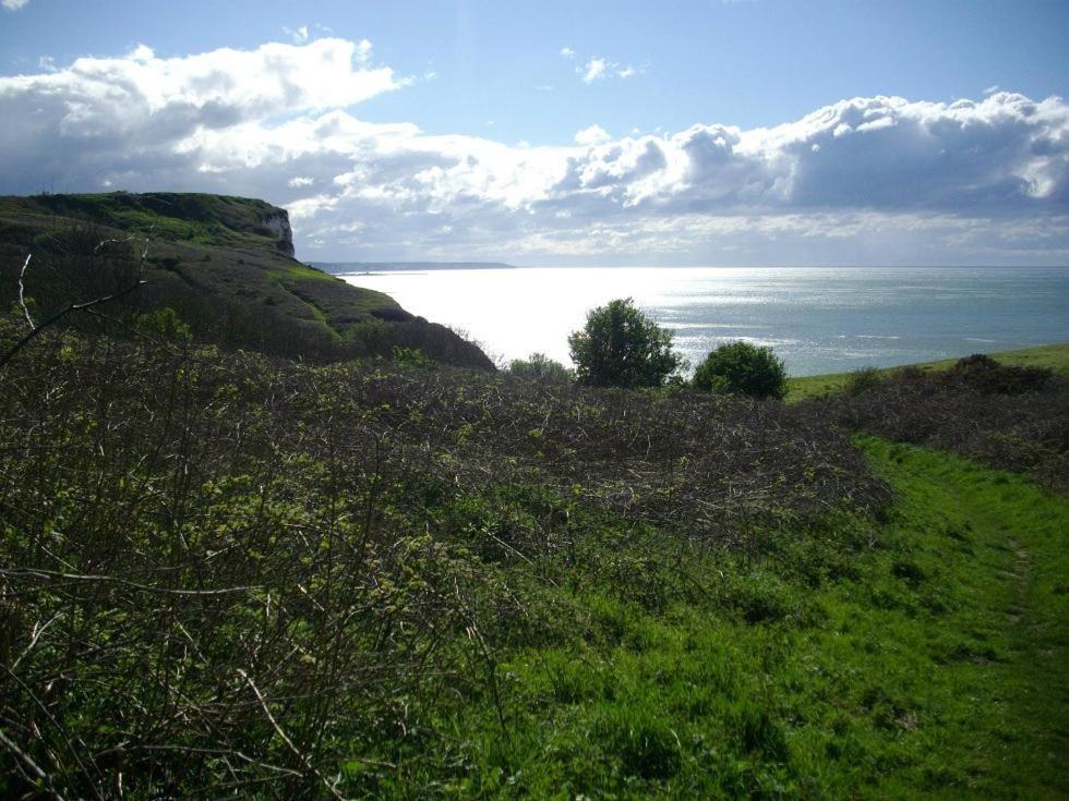 Berneval-le-Grand Villa Les Falaises מראה חיצוני תמונה